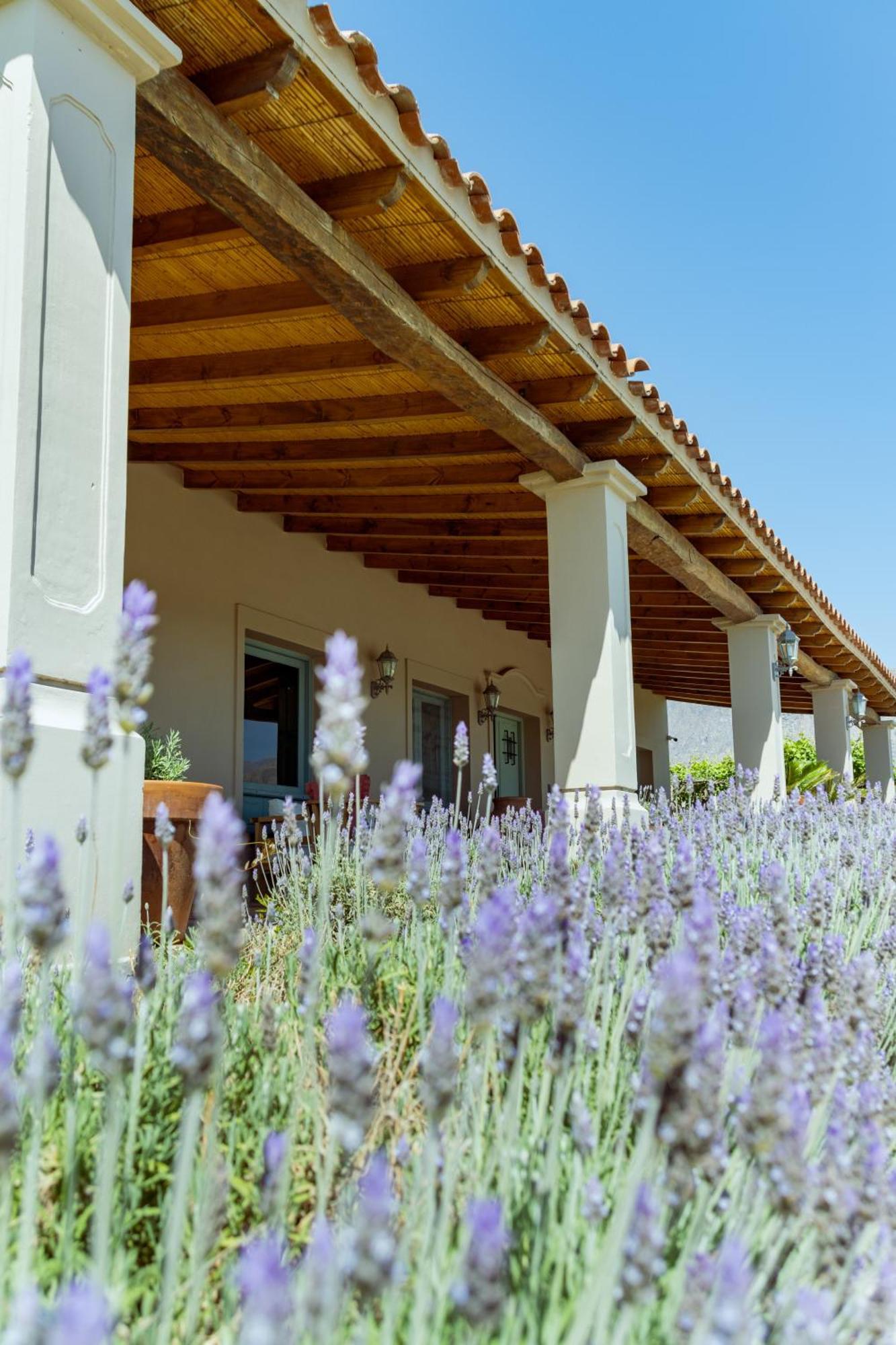 El Porvenir Wine Lodge Cafayate Exterior photo
