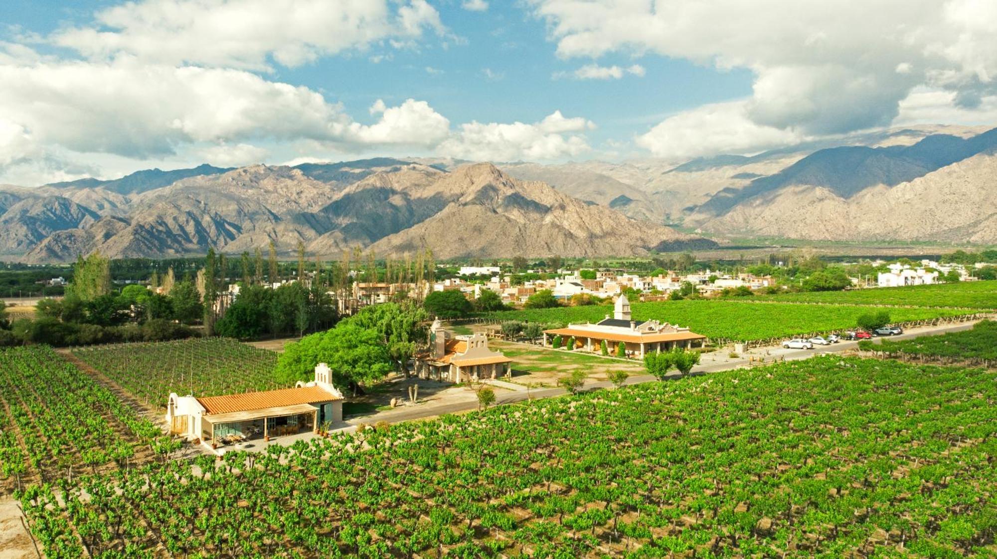 El Porvenir Wine Lodge Cafayate Exterior photo