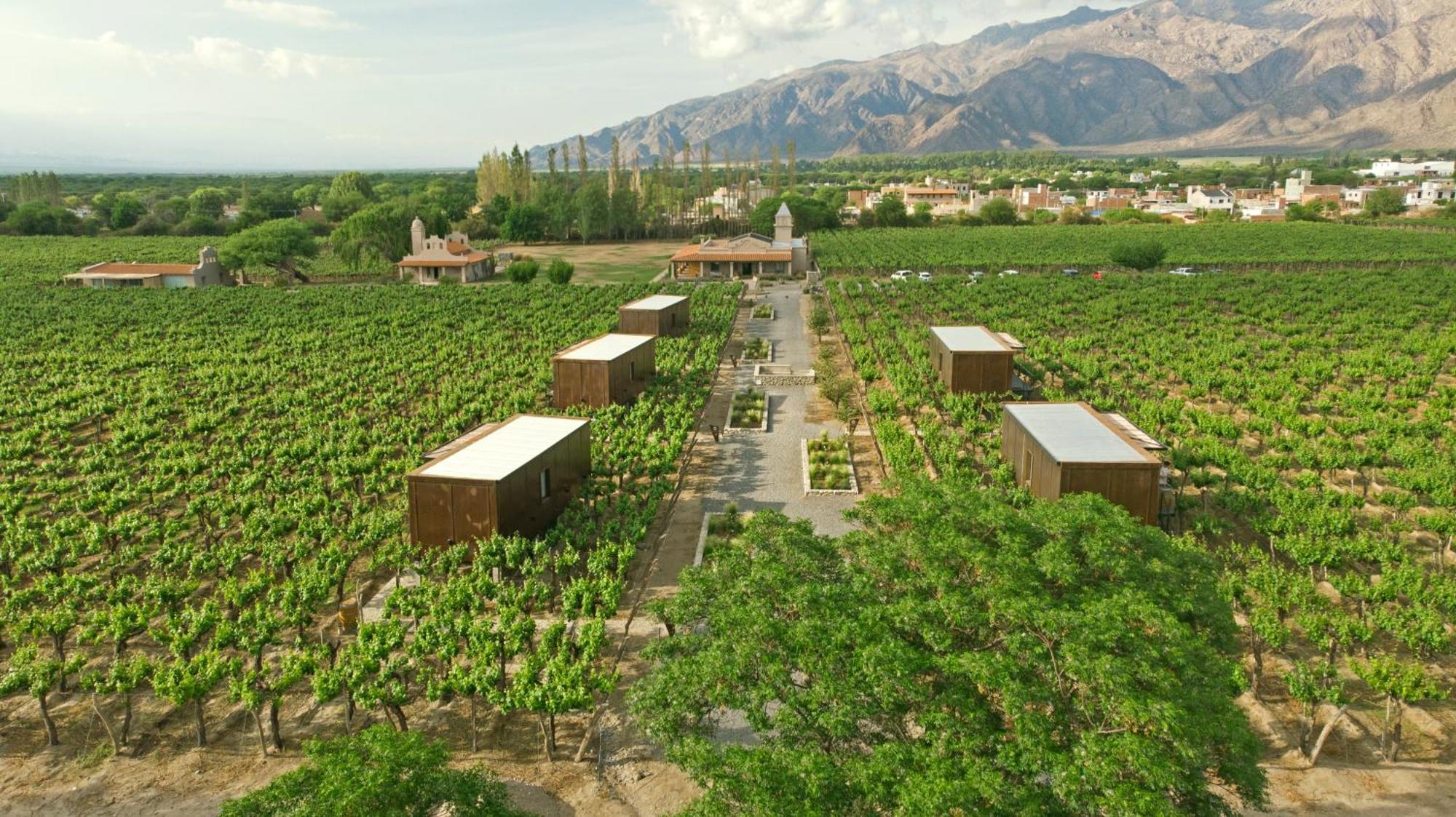 El Porvenir Wine Lodge Cafayate Exterior photo