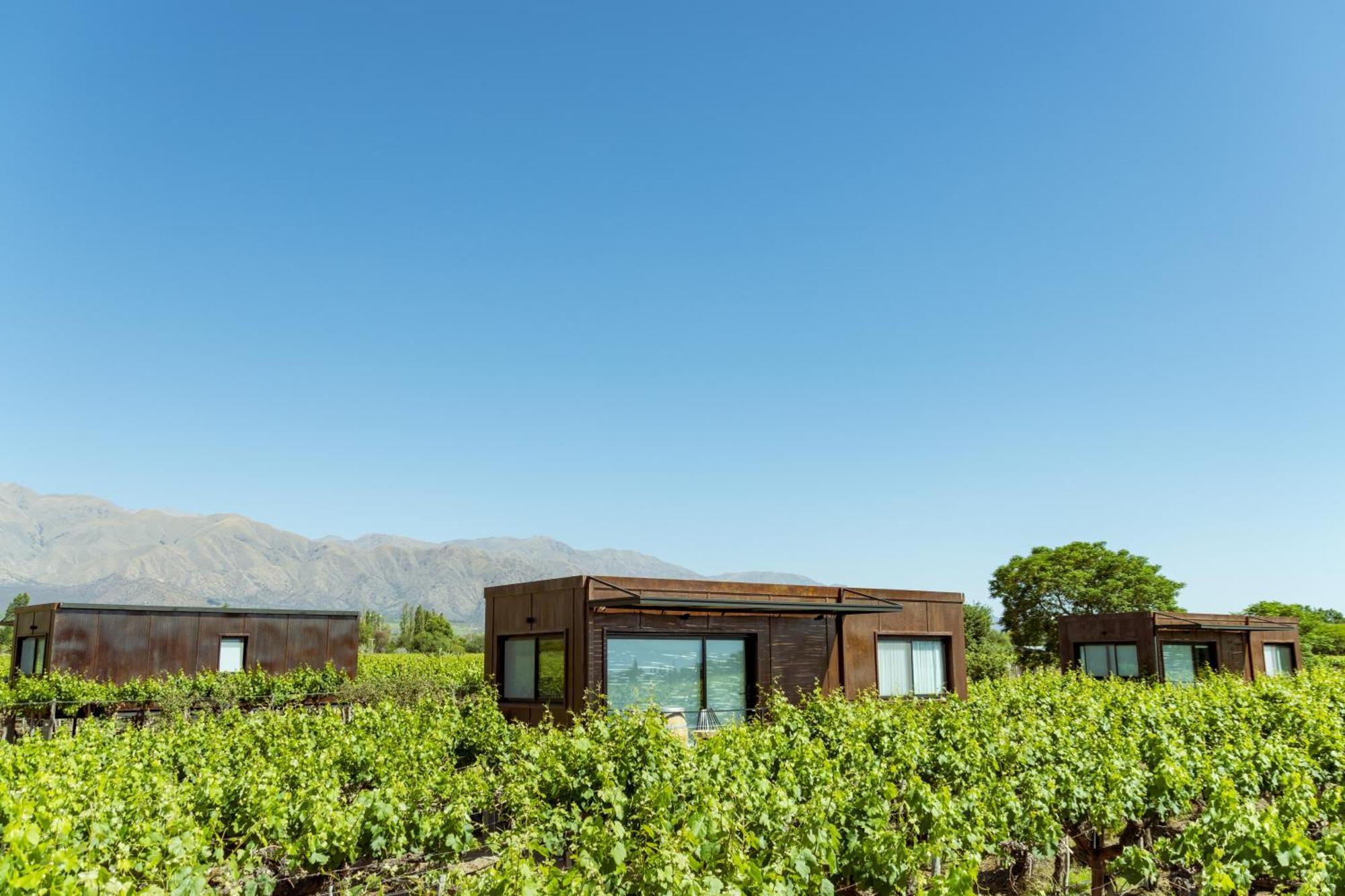 El Porvenir Wine Lodge Cafayate Exterior photo