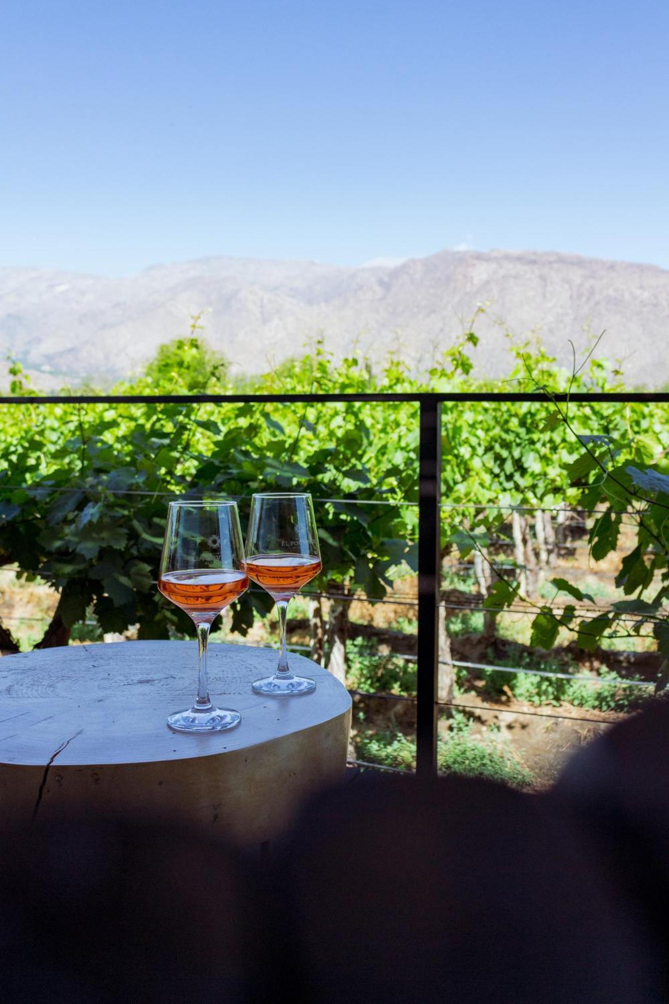 El Porvenir Wine Lodge Cafayate Exterior photo