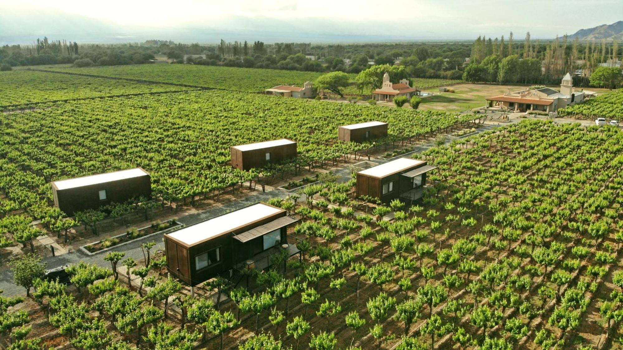 El Porvenir Wine Lodge Cafayate Exterior photo