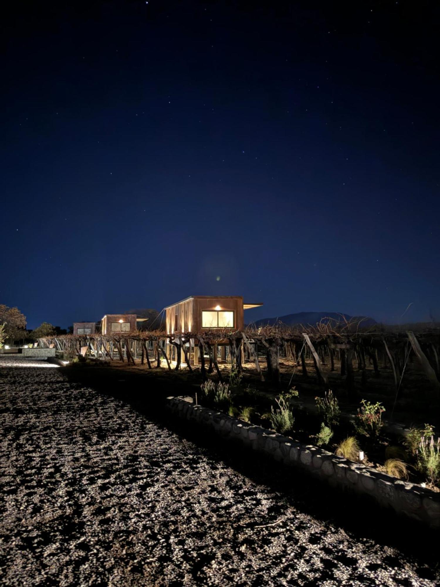 El Porvenir Wine Lodge Cafayate Exterior photo