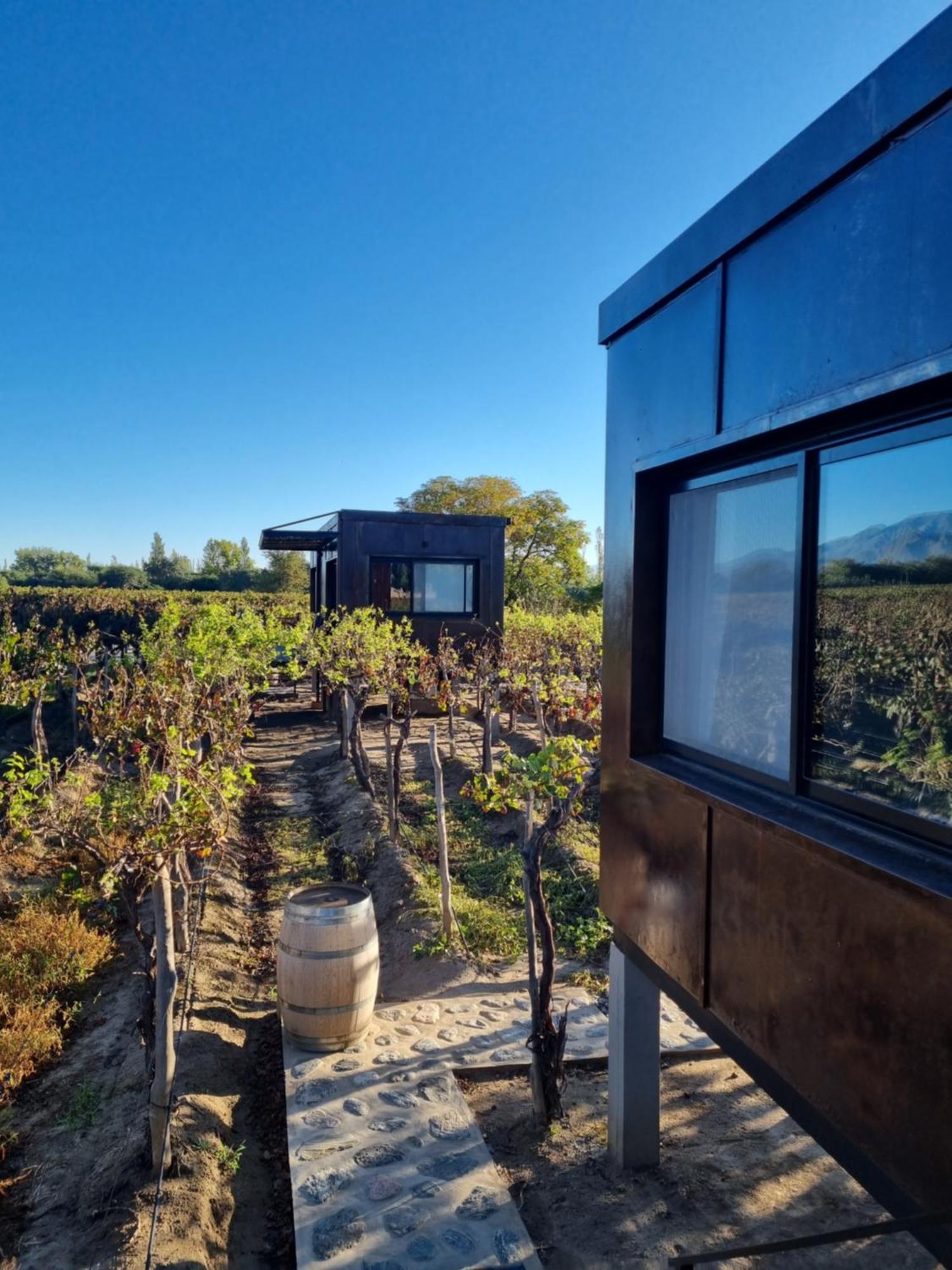 El Porvenir Wine Lodge Cafayate Exterior photo